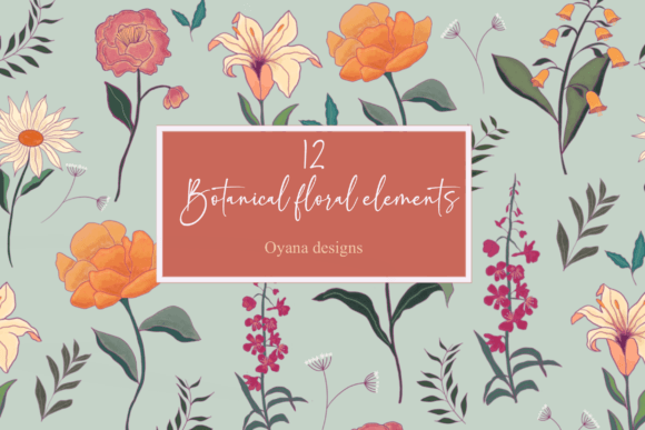 Botanical Elegant Floral Elements: Graphics & Illustrations