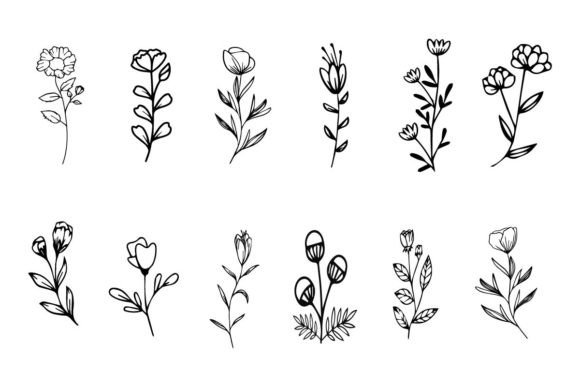 Botanical Floral Line Art Elements: Graphics & Illustrations