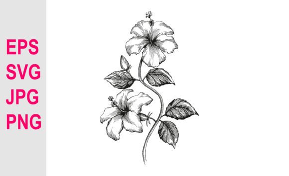 Hand Drawing Floral Line Art SVG: Graphics & Illustrations