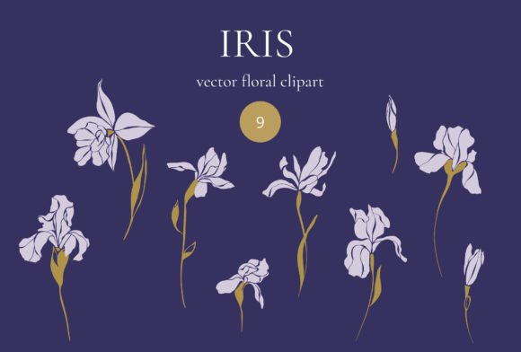 Iris Clipart: Modern Floral Graphics & Illustrations
