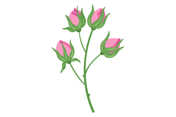 Rose Bud Branch Graphics: Floral Illustrations for Handmade Brands